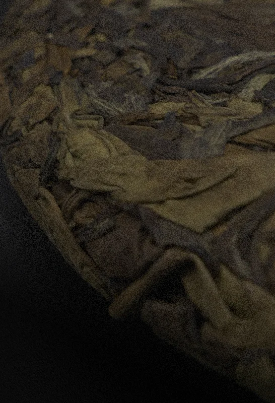 Close up of Aged Wild Gong Mei white tea leaves