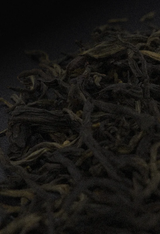 Close up of Yiwu Ancient Tree tea leaves