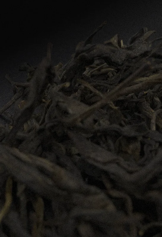 Close up of Ancient Tree raw Pu’er leaves
