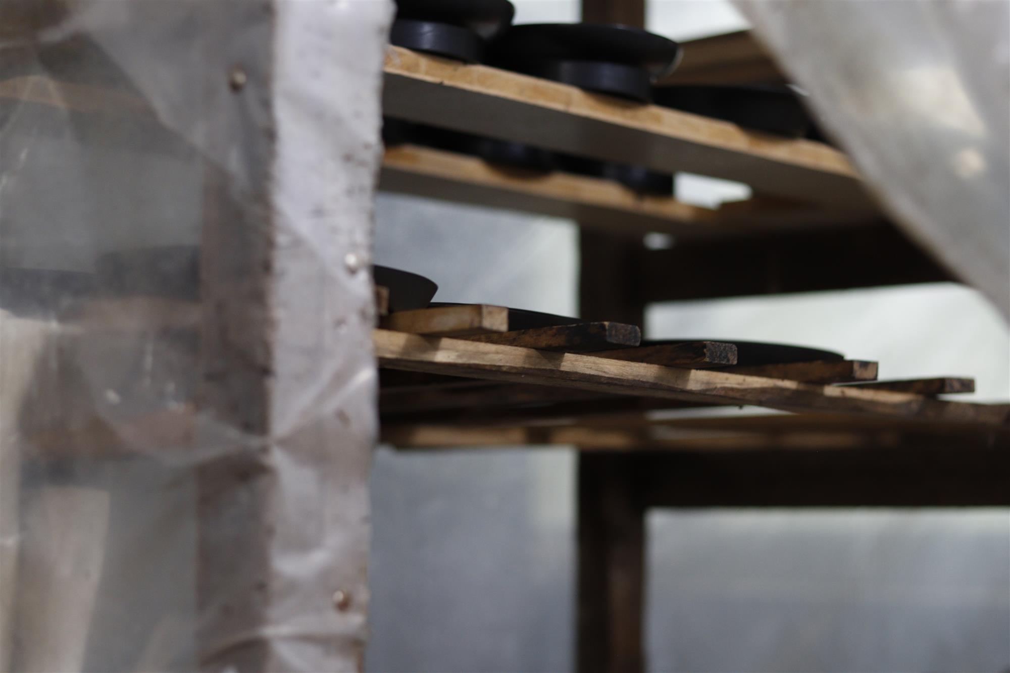 Wooden vessels resting on shelves in the Chiju workshop