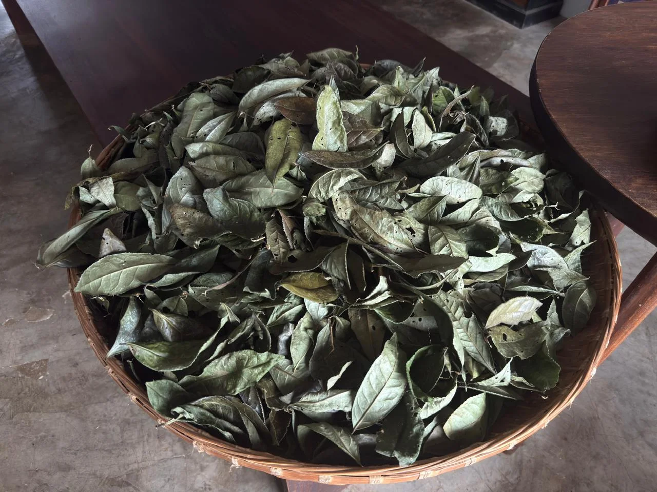 Tea leaves gathered in a bamboo basket in Fuliang