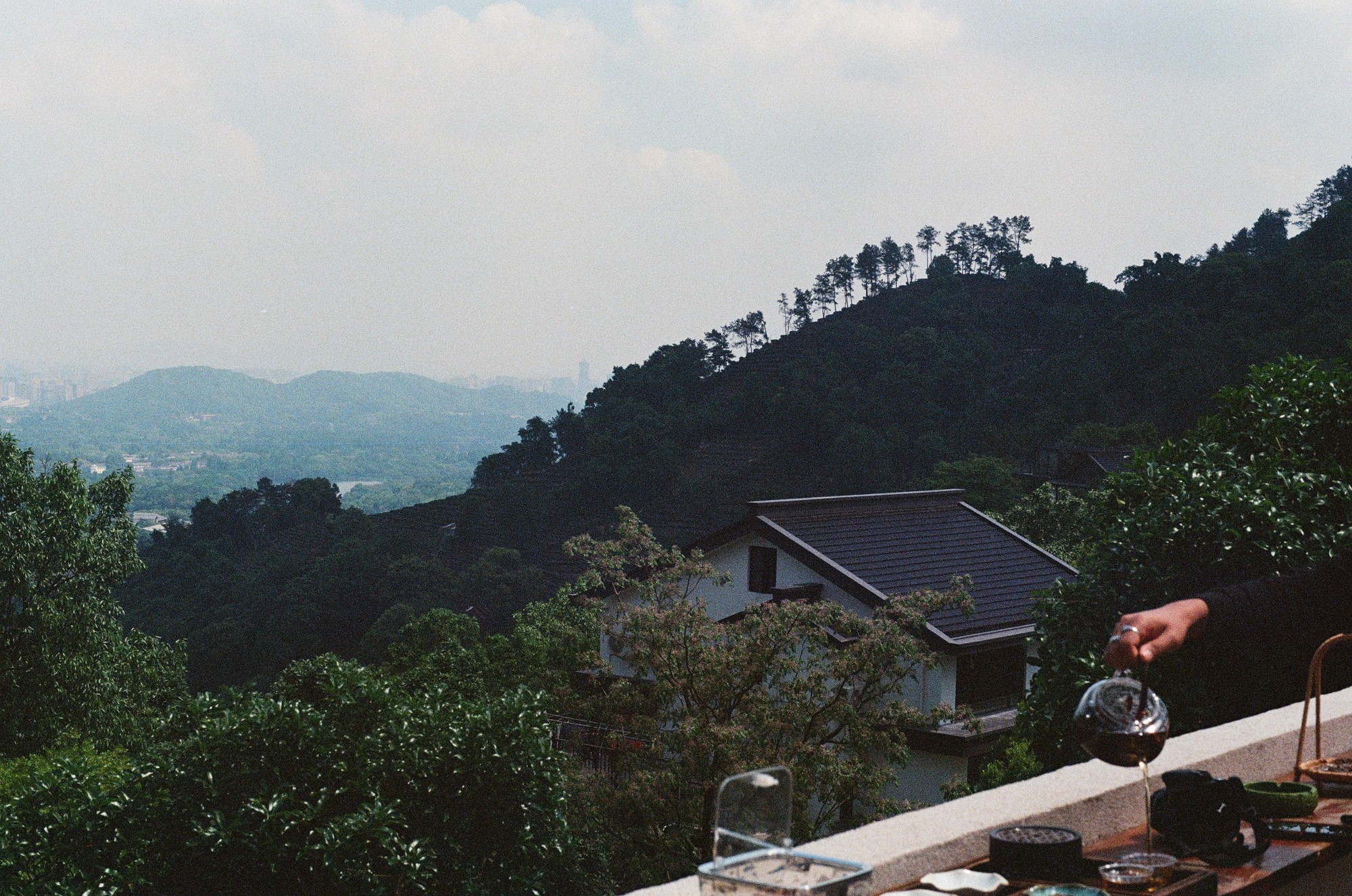 A hand pouring tea overlooking wooded hills in China