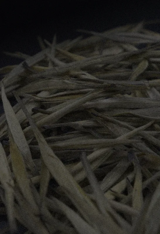Close up of Yunnan Long Ya green tea leaves