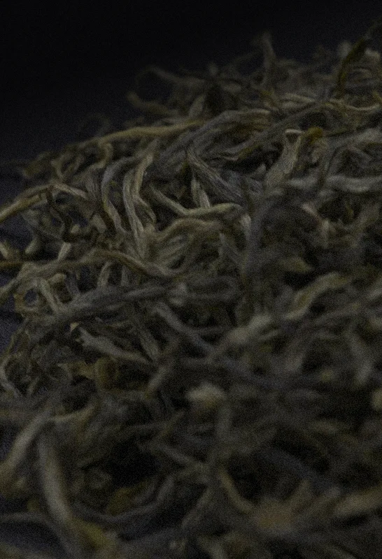 Close up of Yunnan Mao Feng green tea leaves