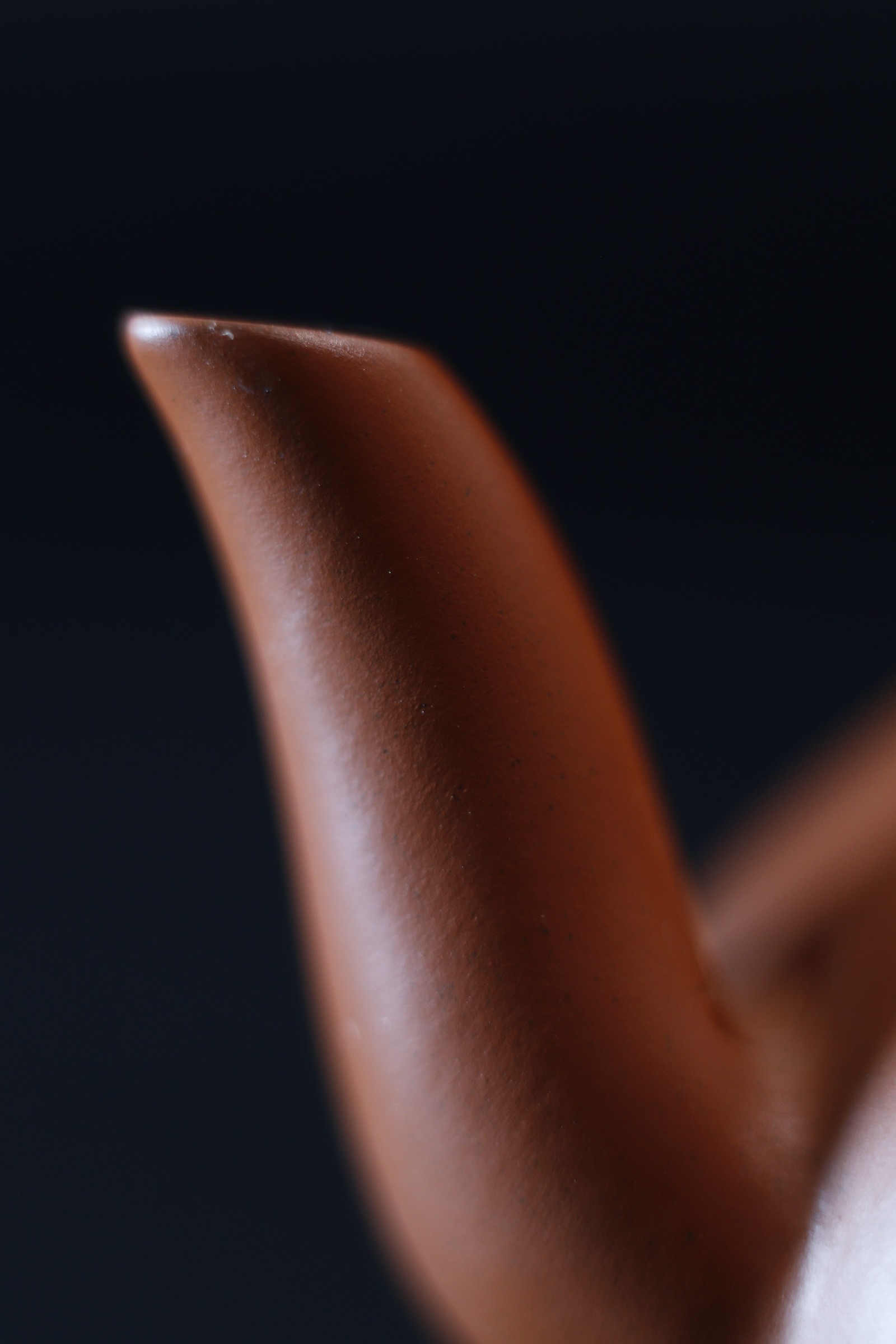 Pear Teapot by Yujian Cai, detail view