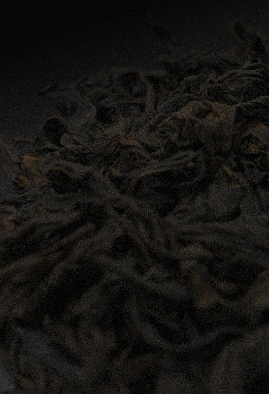 Close up of Fuliang Wild Tree tea leaves