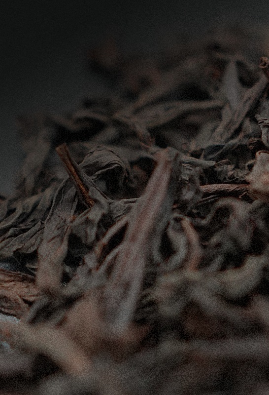 Close up of Shui Xian tea leaves