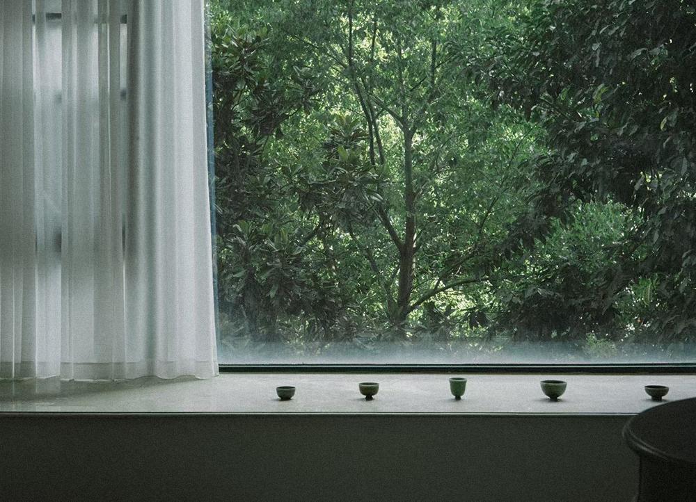 Cups on a windowsill overlooking trees