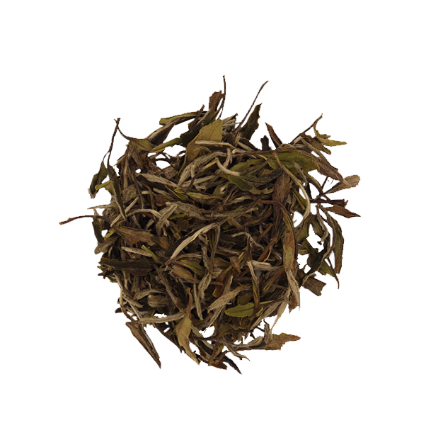 White Peony White Tea
