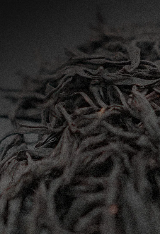Close up of Zhengshan Xiaozhong Smoked tea leaves